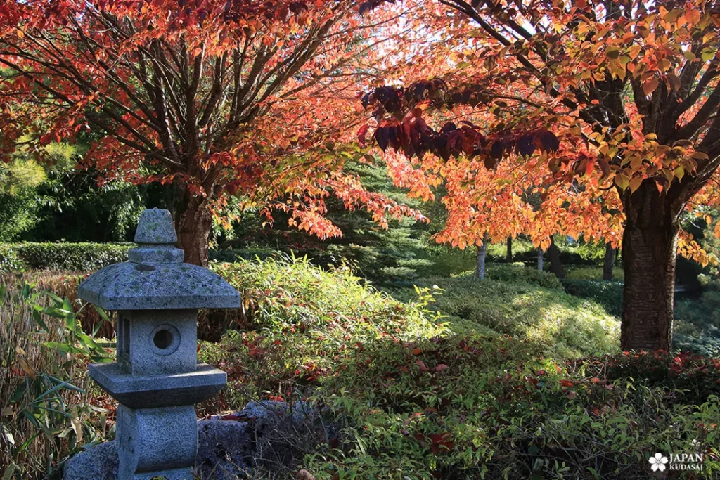 Jardin japonais dijon automne 9